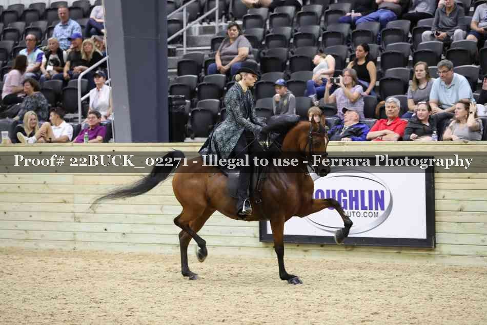 Proof 22BUCK_02271