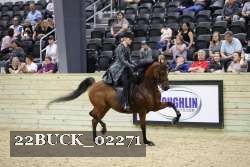 22BUCK_02271 proof
