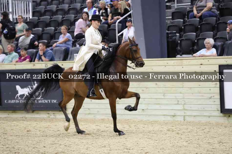 Proof 22BUCK_02272