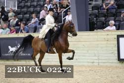 22BUCK_02272 proof