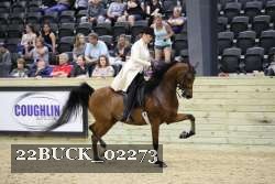 22BUCK_02273 proof