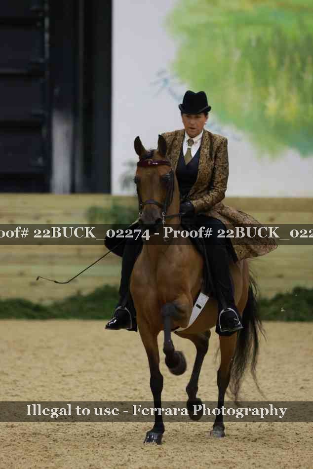 Proof 22BUCK_02274