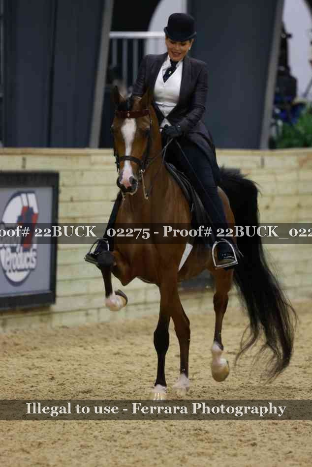 Proof 22BUCK_02275