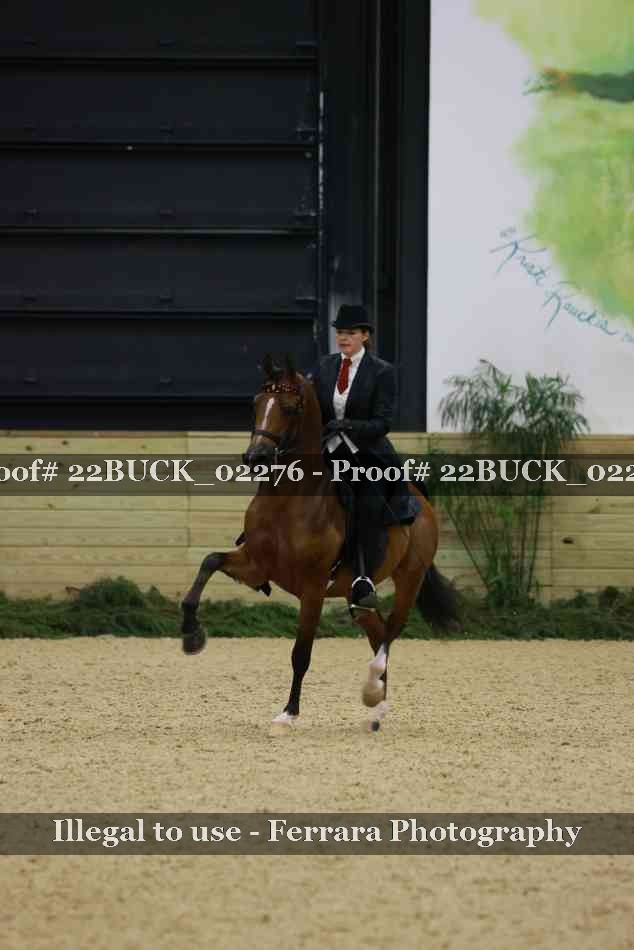Proof 22BUCK_02276