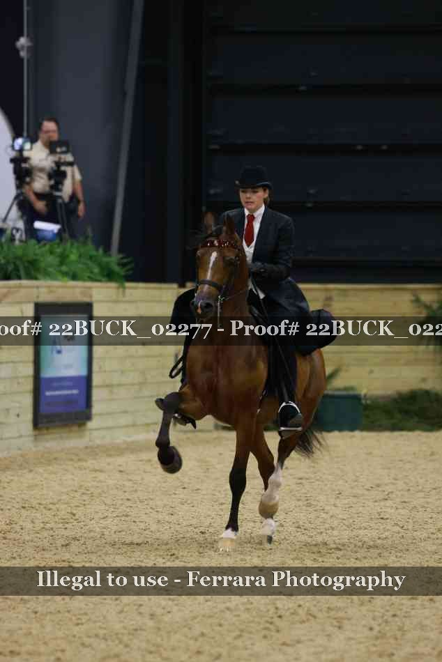 Proof 22BUCK_02277