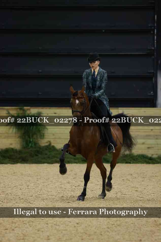 Proof 22BUCK_02278