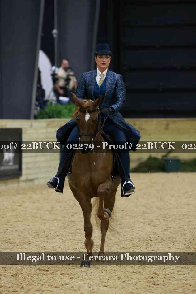 Proof 22BUCK_02279