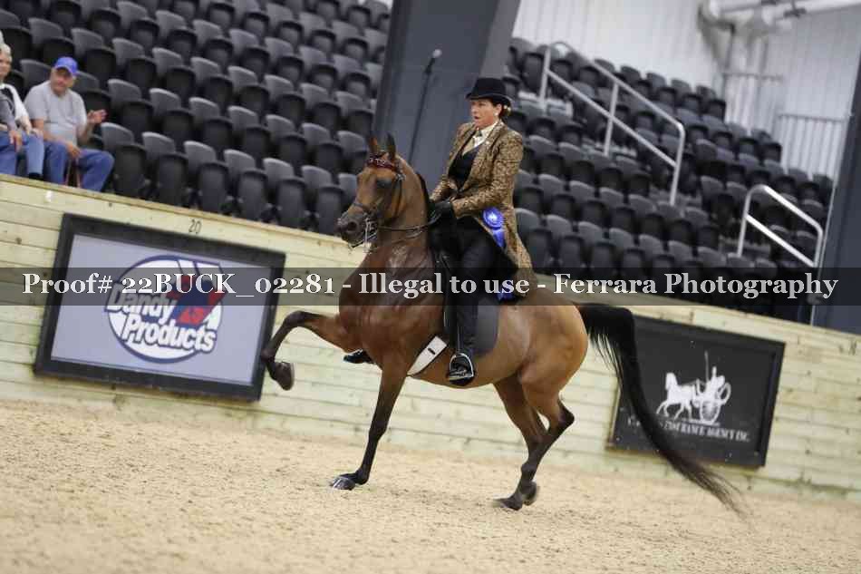 Proof 22BUCK_02281