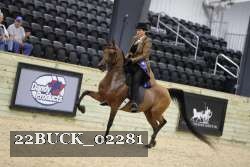 22BUCK_02281 proof