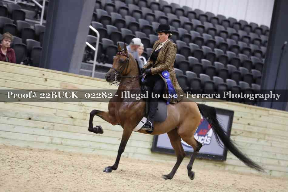 Proof 22BUCK_02282