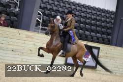 22BUCK_02282 proof