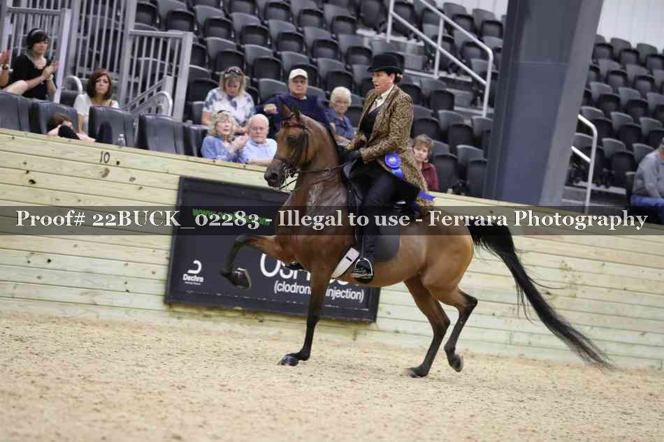 Proof 22BUCK_02283