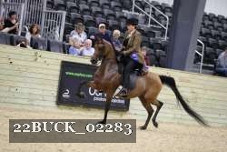 22BUCK_02283 proof