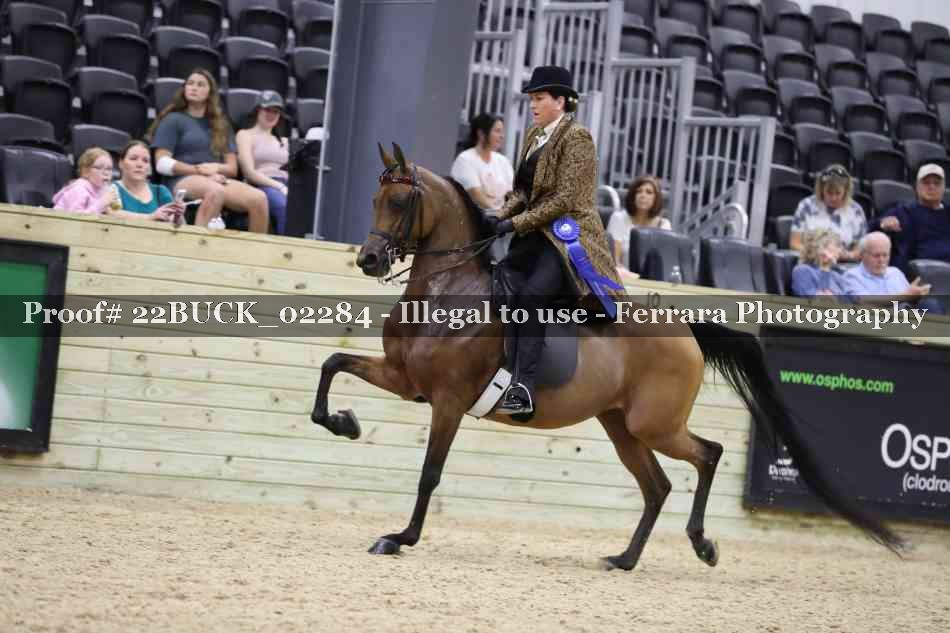Proof 22BUCK_02284