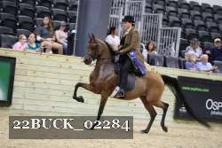 22BUCK_02284 proof