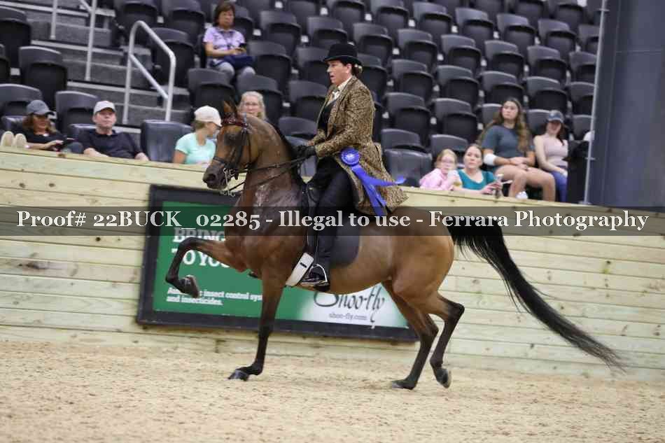 Proof 22BUCK_02285