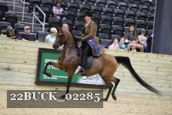 22BUCK_02285 proof
