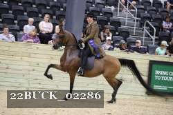 22BUCK_02286 proof