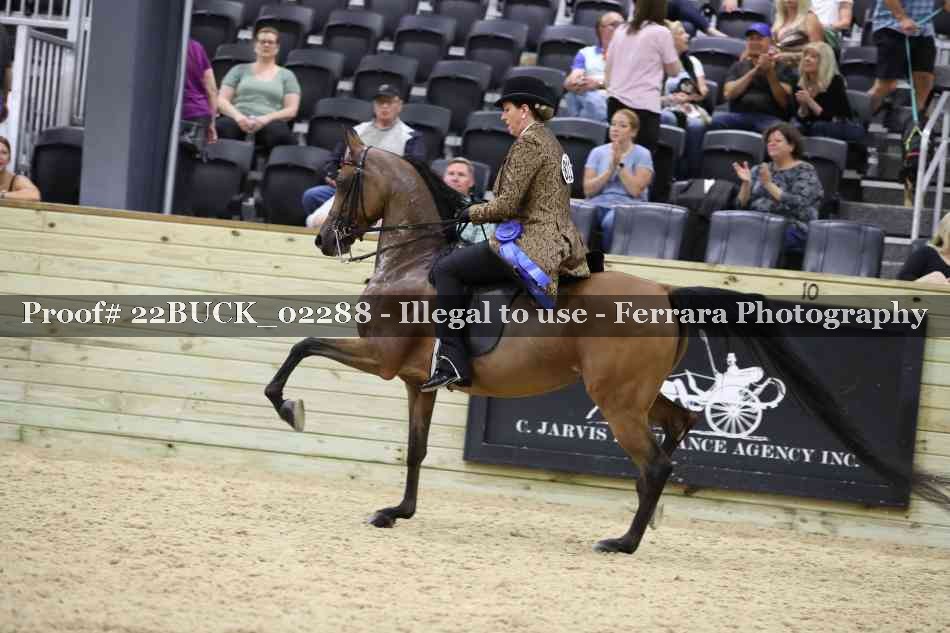 Proof 22BUCK_02288