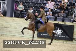 22BUCK_02288 proof