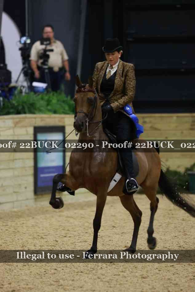 Proof 22BUCK_02290