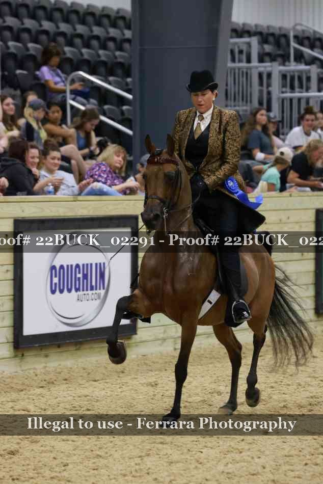 Proof 22BUCK_02291