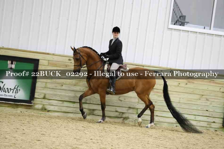Proof 22BUCK_02292
