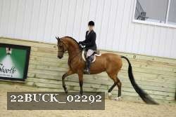 22BUCK_02292 proof