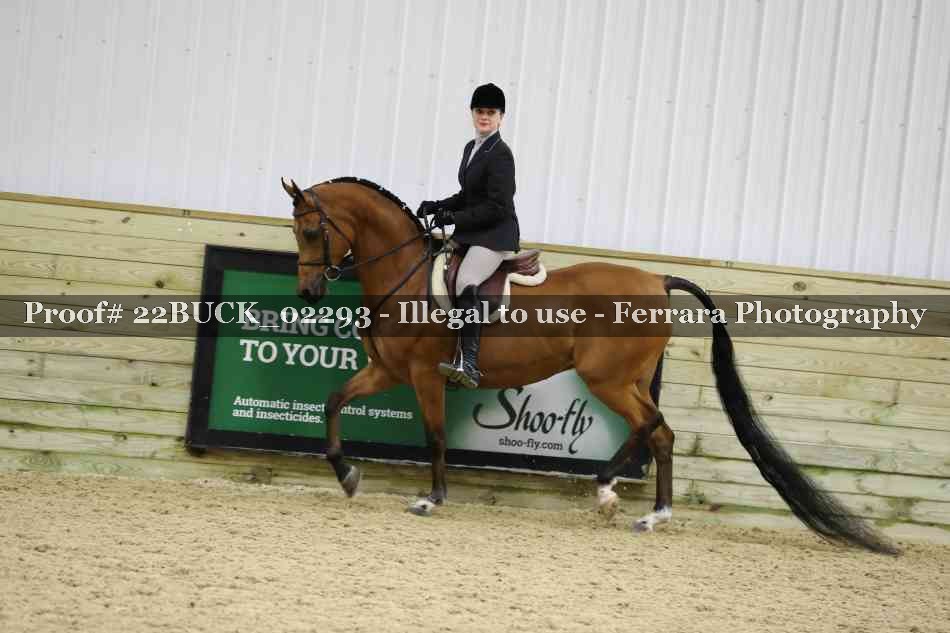 Proof 22BUCK_02293