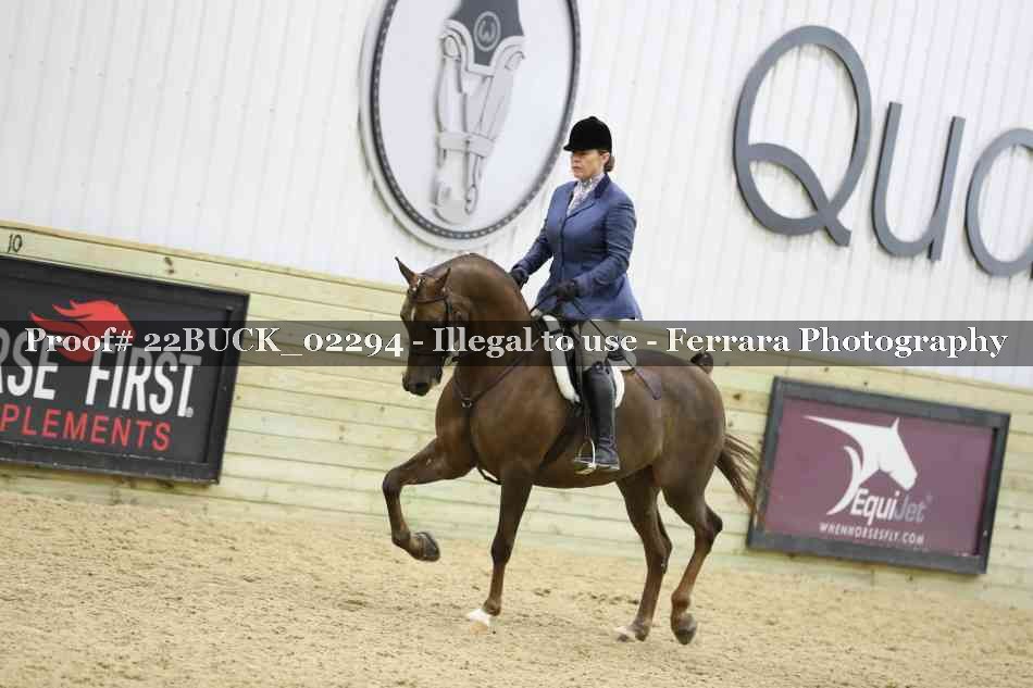 Proof 22BUCK_02294