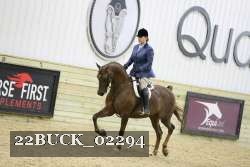 22BUCK_02294 proof