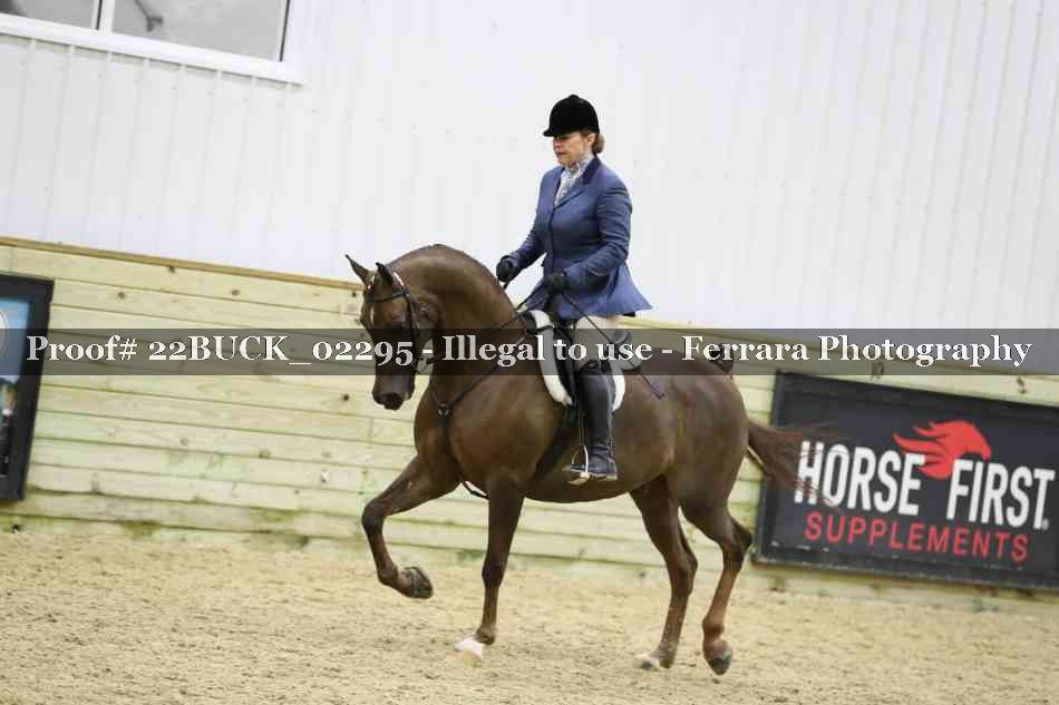 Proof 22BUCK_02295