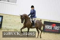 22BUCK_02295 proof