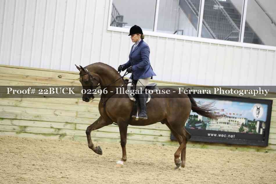 Proof 22BUCK_02296