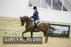 22BUCK_02296 proof