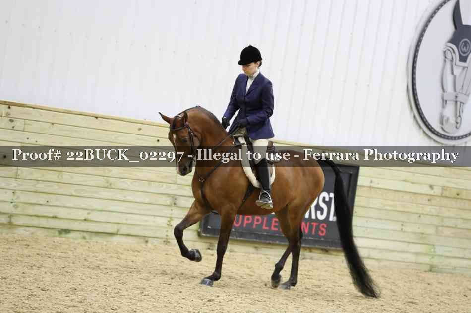 Proof 22BUCK_02297