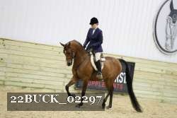 22BUCK_02297 proof