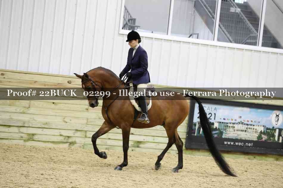 Proof 22BUCK_02299