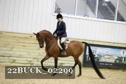 22BUCK_02299 proof