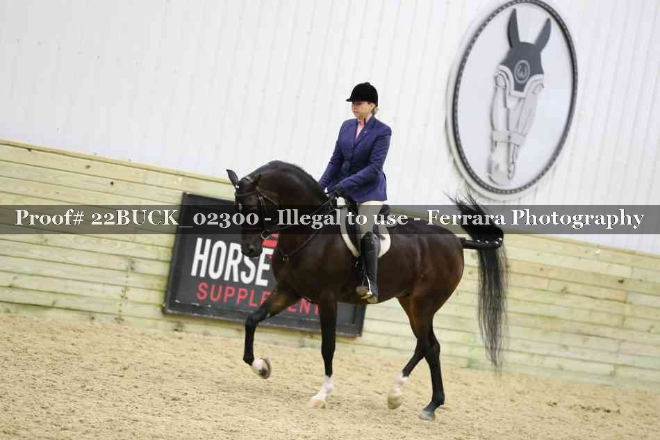 Proof 22BUCK_02300