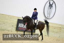 22BUCK_02300 proof