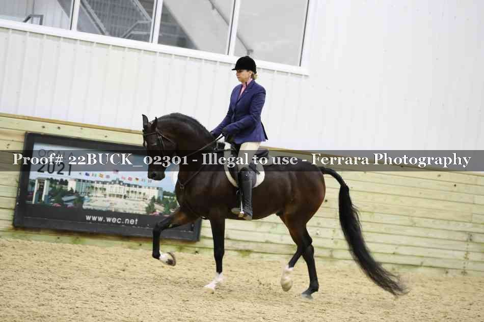 Proof 22BUCK_02301