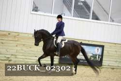 22BUCK_02302 proof