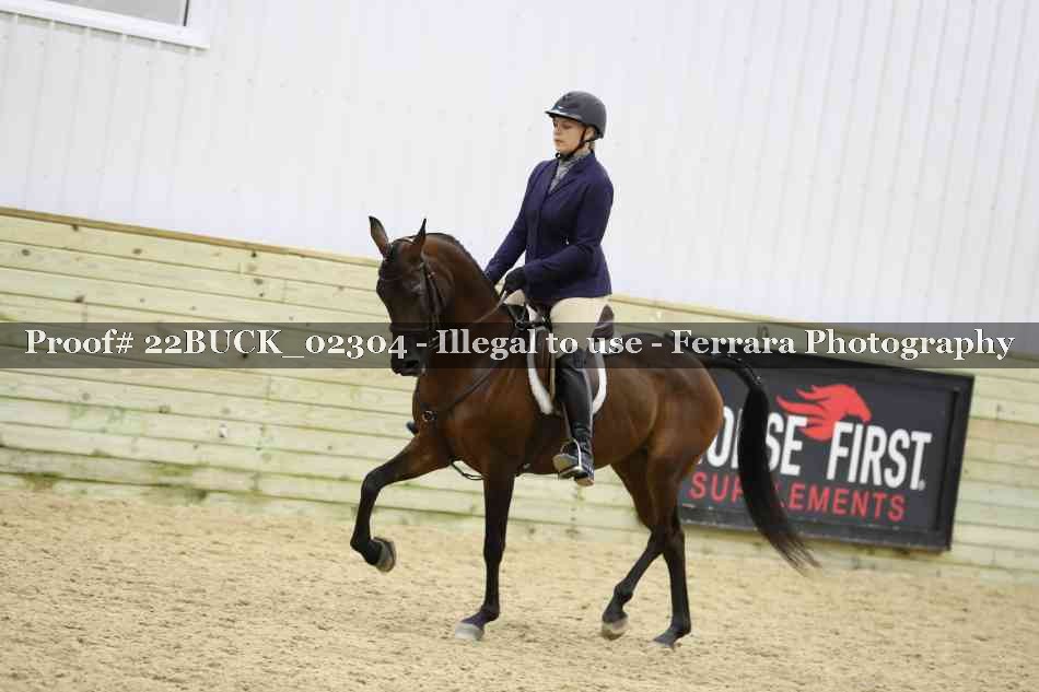 Proof 22BUCK_02304