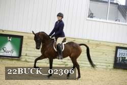 22BUCK_02306 proof