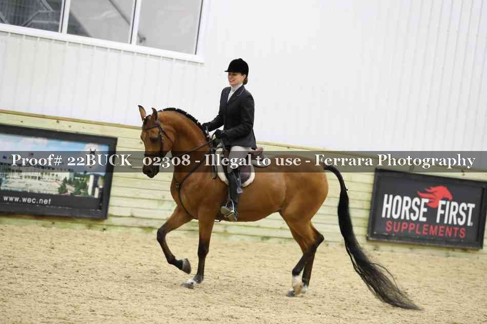 Proof 22BUCK_02308