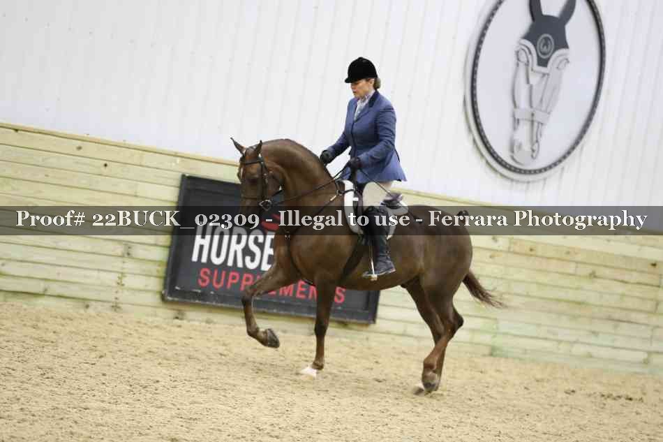 Proof 22BUCK_02309