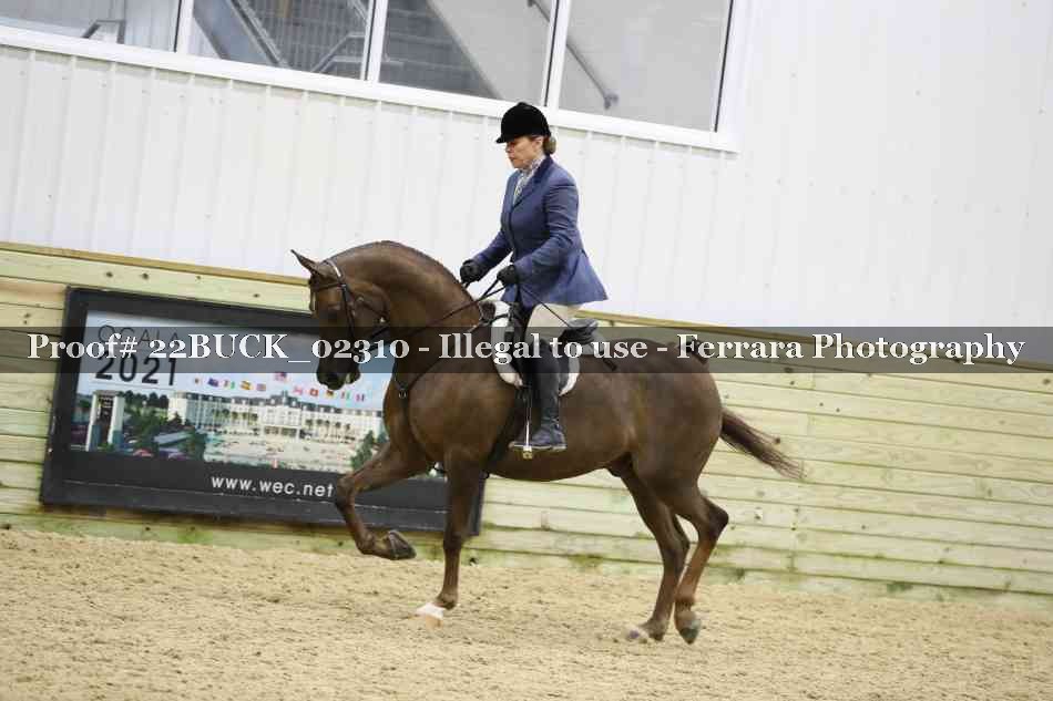 Proof 22BUCK_02310