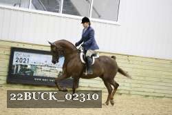 22BUCK_02310 proof