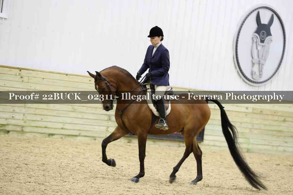 Proof 22BUCK_02311